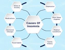 Image result for Insomnia Causes