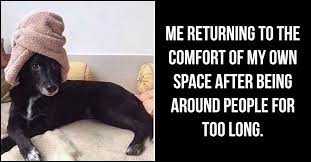 61 Funny Clean Memes That You Re Going To Love Rated E For Everyone 9,820 likes · 35 talking about this. 61 funny clean memes that you re going
