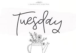 Birds And The Bees Talk Script Tuesday Handwritten Script Font Handwritten Script Font Script Fonts Whimsical Script Fonts