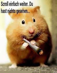 Wenn du bereits ein konto bei uns hast, dann melde dich hier an. Funny Cartoon Pictures Funny Pictures Funny Games
