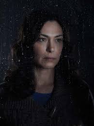 Critics At Large : Gutting The Killing