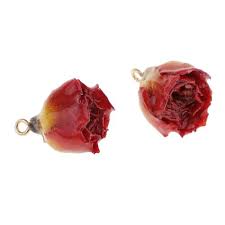 Https Fr Shopping Rakuten Com Offer Buy 5184166454 20pcs Fleurs Sechees Artificielles Fleurs Pressees Branches De Noyau De Pin Scrapbook Arts Artisanat Fournitures De Nail Art Html Https Images Fr Shopping Rakuten Com Photo 20pcs Fleurs Sechees