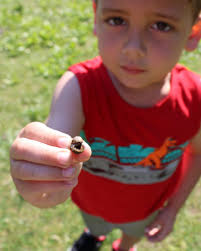 Draft 2021 Annual Report