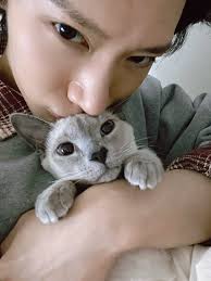 Wayv Pets & Information (Updated!)