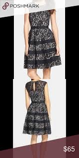 Eliza J Lace Fit And Flare Dress New Fit And Flare Dress Fashion Dresses