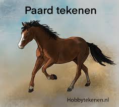 Woorden die (ongeveer) hetzelfde betekenen als 'makkelijk', met toelichting en mogelijkheden om verder te makkelijk. Realistisch Paard Leren Tekenen Hobbytekenen Nl Hobbytekenen Nl