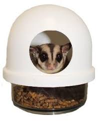 Suggested Cage Requirements Exotic Nutrition