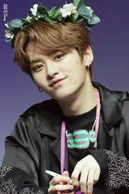 Image result for stray kids flower crown