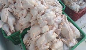 Hal ini juga adalah upaya dalam memenuhi kebutuhan gizi. Cek Harga Ayam Broiler Hari Ini Langsung Dari Peternak Aplikasi Pertanian Media Agribisnis Gdm Agri