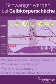 pin auf kinderwunsch blogs foren und magazine und ihre besten kinderwunsch pins auf pinterest