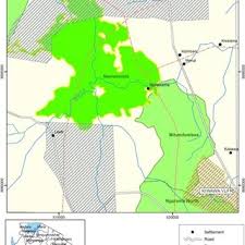 Image result for Justicia stachytarphetoides