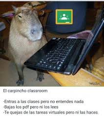 1 source for hot moms, cougars, grannies, gilf, milfs and more. Por Que Los Carpinchos Invadieron Las Redes Sociales