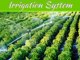 Most valve systems are wired to a controller for automatic operation, although there are manual systems as well. Advantages Disadvantages Of Irrigation Systems My Decorative