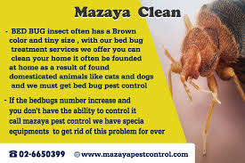 The color of the bed bug bugs to the color of the prophet and crosses from insects small size and flat, and the insect is one of the insects able to fully we started in abu dhabi in 1991 with an integrated insect control strategy which led us to be considered one of the best companies in the uae market. Pest Control Abu Dhabi Posts Facebook