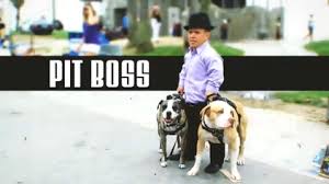 Cute pitbull puppies and dogs being adorable and doing funny things. Pit Boss Tv Series Wikipedia