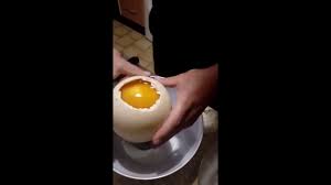 L'autruche omniprésente dans toute sa gloire à plumes struts il étoffe sur le devant de cet élément de décor africain unique. Comment Casser Un Åuf D Autruche Youtube