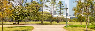 É vizinho ao parque do ibirapuera. Tudo Sobre O Bairro Vila Nova Conceicao Em Sao Paulo Tegra Incorporadora