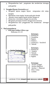Bab 1 pengenalan kepada biologi. Laporan Eksperimen Biologi Tingkatan 4 Bab 3 Bahan Boleh Merentasi Membran Plasma Dengan Cara Pengangkutan Pasif