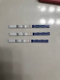 Line Progression Cp Or Ectopic Not Sure What To Think