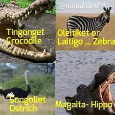 Some Rare Animals Names Note The Names May Not Apply To All Kalenjin Culture Sayings History Language And Folklore By Edwin Korir Facebook