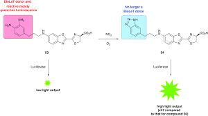 1x4 1x8 2x2 2x4 4x4 custom rectangular shapes in 1' increments are available. Applications Of Bioluminescence In Biotechnology And Beyond Chemical Society Reviews Rsc Publishing