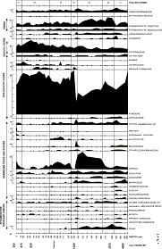 Image result for Kohautia microflora