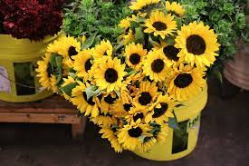 East coast wholesale flowers is not open to the public. Seattle Wholesale Grower S Market Rain Or Shine Guides