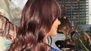 Chestnut brown color is basically the lovely color of the nut of the chestnut tree. Chestnut Brown Is The Perfect Hair Color For Fall 2019 Viva Glam Magazine