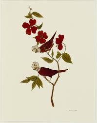 The Wonderfully Weird Marcel Dzama Marcel Art Illustration Art