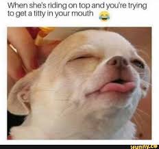 Pin On Memes Humor