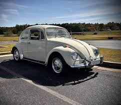 Image result for Ivory 1950 Beetle