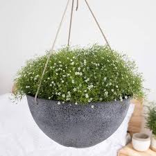 We did not find results for: 12 Best Hanging Planters Hanging Baskets For Plants In 2021 Hgtv