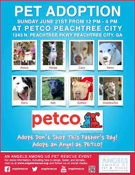 Sundays Adoptions At Petco Petco Dog Adoption Pet Adoption