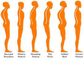 Do not lose your hip position. How To Correct Rounded Shoulders Freeman Mfg Co