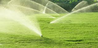 Continue watering in this manner until the new grass is about 1 tall. 5 Tips For Overseeding Your Lawn