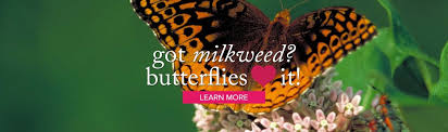 Check spelling or type a new query. Demers Garden Center Demers Garden Center