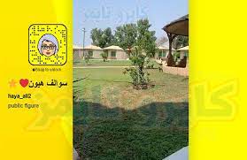 سناب سوالف هيون الغماس الحساب الرسمي والوحيد كايرو تايمز