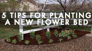 Flowers, on the other hand, often require partial shade to thrive. 5 Tips For Planting A New Flower Bed Garden Answer Youtube