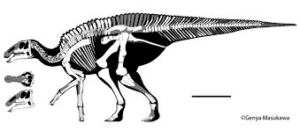 PRESS RELEASE 2019/9/6