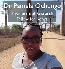 Mapping Africa's Endangered Sites & Monuments