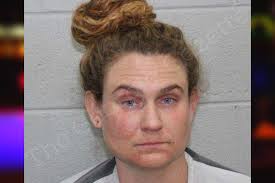 Megan Aspinwall — Harris County Jail Bookings