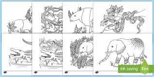 1,130 top colouring pages ks2 teaching resources. African Animals Mindfulness Colouring Pages Teacher Made