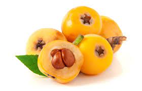 Check spelling or type a new query. Chinese Plum Tree Loquat Pi Pa Pi Pa Ye White Rabbit Institute Of Healing