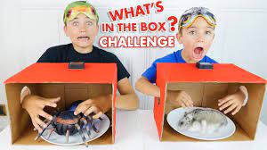 Aujourd'hui on échange nos chambres pendant 24h ! The Floor Is Lava Challenge Le Sol C Est De La Lave Dans Notre Maison De Vacances Youtube