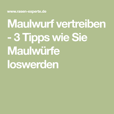 Maulwurf Vertreiben 3 Tipps Wie Sie Maulwurfe Loswerden Maulwurf Vertreiben Maulwurf Vertreiben