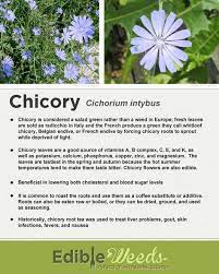 Pin On Cosas Sobre Plantas