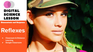 Cns system and the brain