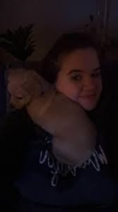 Donna Colella's Instagram, Twitter & Facebook