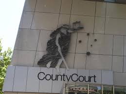 Man Pleads Guilty To Sex With 12yo Girl Illawarra Mercury Wollongong Nsw