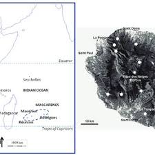 Image result for Crepidomanes inopinatum